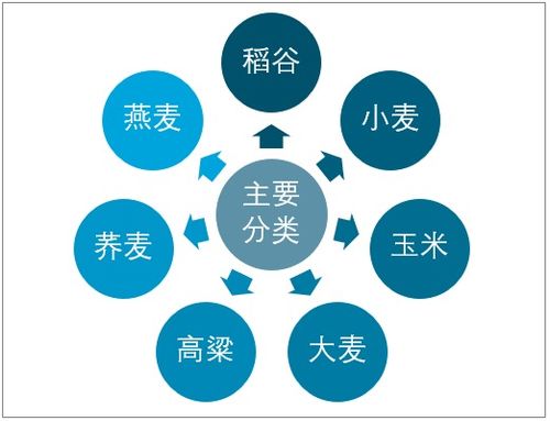 2021-2027年中國谷物行業(yè)市場(chǎng)經(jīng)營管理及投資前景預(yù)測(cè)報(bào)告
